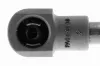 Gasfeder, Koffer-/Laderaum Fahrzeugheckklappe VAICO V20-2056 Bild Gasfeder, Koffer-/Laderaum Fahrzeugheckklappe VAICO V20-2056