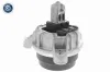 Lagerung, Motor vorne links VAICO V20-2113