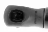 Gasfeder, Koffer-/Laderaum hinten VAICO V20-2876 Bild Gasfeder, Koffer-/Laderaum hinten VAICO V20-2876