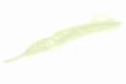 Gleitschiene, Steuerkette links VAICO V20-3135