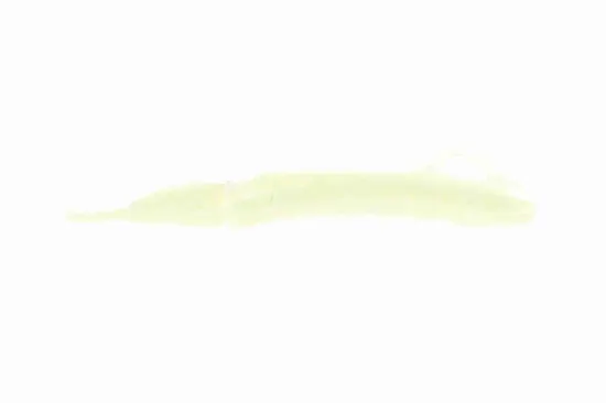 Gleitschiene, Steuerkette links VAICO V20-3135 Bild Gleitschiene, Steuerkette links VAICO V20-3135