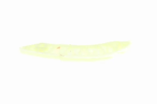 Gleitschiene, Steuerkette rechts VAICO V20-3143 Bild Gleitschiene, Steuerkette rechts VAICO V20-3143