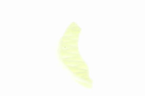 Gleitschiene, Steuerkette rechts VAICO V20-3143 Bild Gleitschiene, Steuerkette rechts VAICO V20-3143