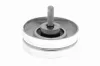 Spannrolle, Keilrippenriemen VAICO V20-3216 Bild Spannrolle, Keilrippenriemen VAICO V20-3216