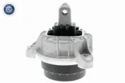 Lagerung, Motor vorne rechts VAICO V20-3237