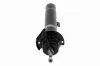 Stoßdämpfer links VAICO V20-3703 Bild Stoßdämpfer links VAICO V20-3703