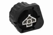 Lagerung, Motor hinten VAICO V20-3828