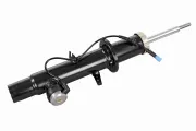 Stoßdämpfer Vorderachse VAICO V20-4067