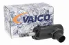 Stellelement, Exzenterwelle (variabler Ventilhub) VAICO V20-4821 Bild Stellelement, Exzenterwelle (variabler Ventilhub) VAICO V20-4821