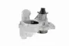 Wasserpumpe, Motorkühlung VAICO V20-50014 Bild Wasserpumpe, Motorkühlung VAICO V20-50014