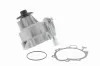 Wasserpumpe, Motorkühlung VAICO V20-50031 Bild Wasserpumpe, Motorkühlung VAICO V20-50031