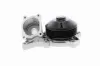 Wasserpumpe, Motorkühlung VAICO V20-50039 Bild Wasserpumpe, Motorkühlung VAICO V20-50039