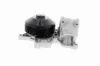 Wasserpumpe, Motorkühlung VAICO V20-50039 Bild Wasserpumpe, Motorkühlung VAICO V20-50039