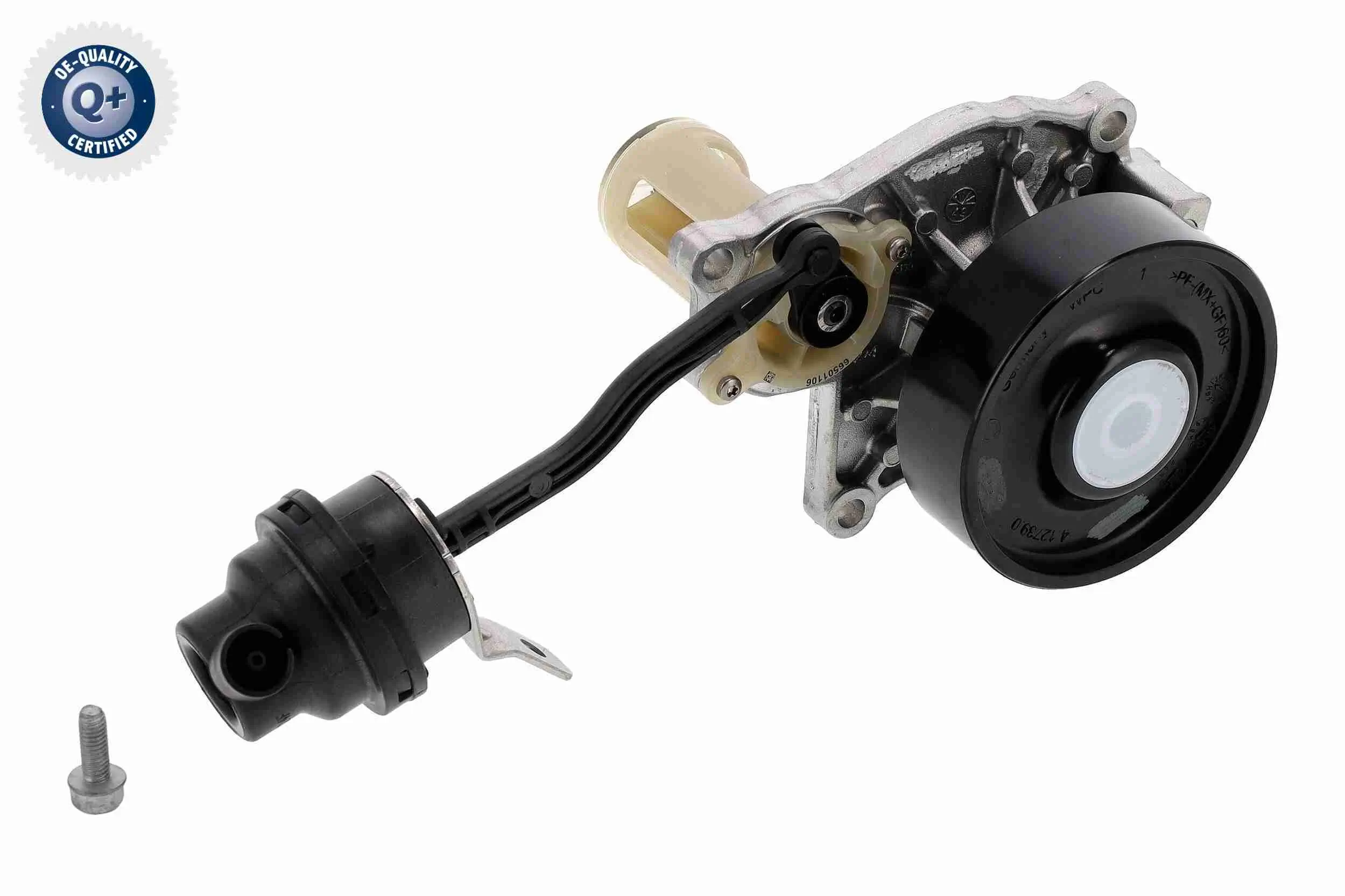 Wasserpumpe, Motorkühlung VAICO V20-50073