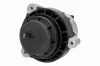 Lagerung, Motor rechts VAICO V20-5041 Bild Lagerung, Motor rechts VAICO V20-5041