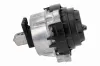 Lagerung, Motor rechts VAICO V20-5041 Bild Lagerung, Motor rechts VAICO V20-5041
