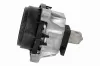 Lagerung, Motor rechts VAICO V20-5052 Bild Lagerung, Motor rechts VAICO V20-5052