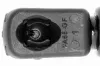 Gasfeder, Koffer-/Laderaum VAICO V22-0209 Bild Gasfeder, Koffer-/Laderaum VAICO V22-0209