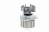 Wasserpumpe, Motorkühlung VAICO V22-50006 Bild Wasserpumpe, Motorkühlung VAICO V22-50006