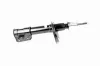 Stoßdämpfer Vorderachse VAICO V24-0166 Bild Stoßdämpfer Vorderachse VAICO V24-0166