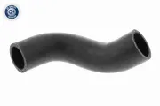 Ladeluftschlauch VAICO V24-0695