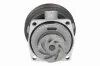 Wasserpumpe, Motorkühlung VAICO V24-50007 Bild Wasserpumpe, Motorkühlung VAICO V24-50007