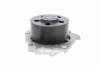 Wasserpumpe, Motorkühlung VAICO V24-50010 Bild Wasserpumpe, Motorkühlung VAICO V24-50010