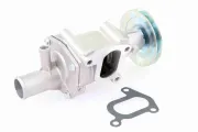 Wasserpumpe, Motorkühlung VAICO V24-50011