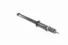 Stoßdämpfer Hinterachse VAICO V25-0366 Bild Stoßdämpfer Hinterachse VAICO V25-0366