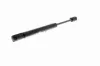 Gasfeder, Motorhaube VAICO V25-0413 Bild Gasfeder, Motorhaube VAICO V25-0413