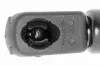 Gasfeder, Koffer-/Laderaum beidseitig VAICO V25-0431 Bild Gasfeder, Koffer-/Laderaum beidseitig VAICO V25-0431