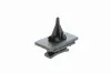 Clip VAICO V25-0493 Bild Clip VAICO V25-0493