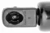 Gasfeder, Koffer-/Laderaum beidseitig VAICO V25-0556 Bild Gasfeder, Koffer-/Laderaum beidseitig VAICO V25-0556