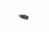 Clip VAICO V25-0698 Bild Clip VAICO V25-0698