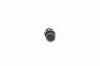 Clip VAICO V25-0698 Bild Clip VAICO V25-0698