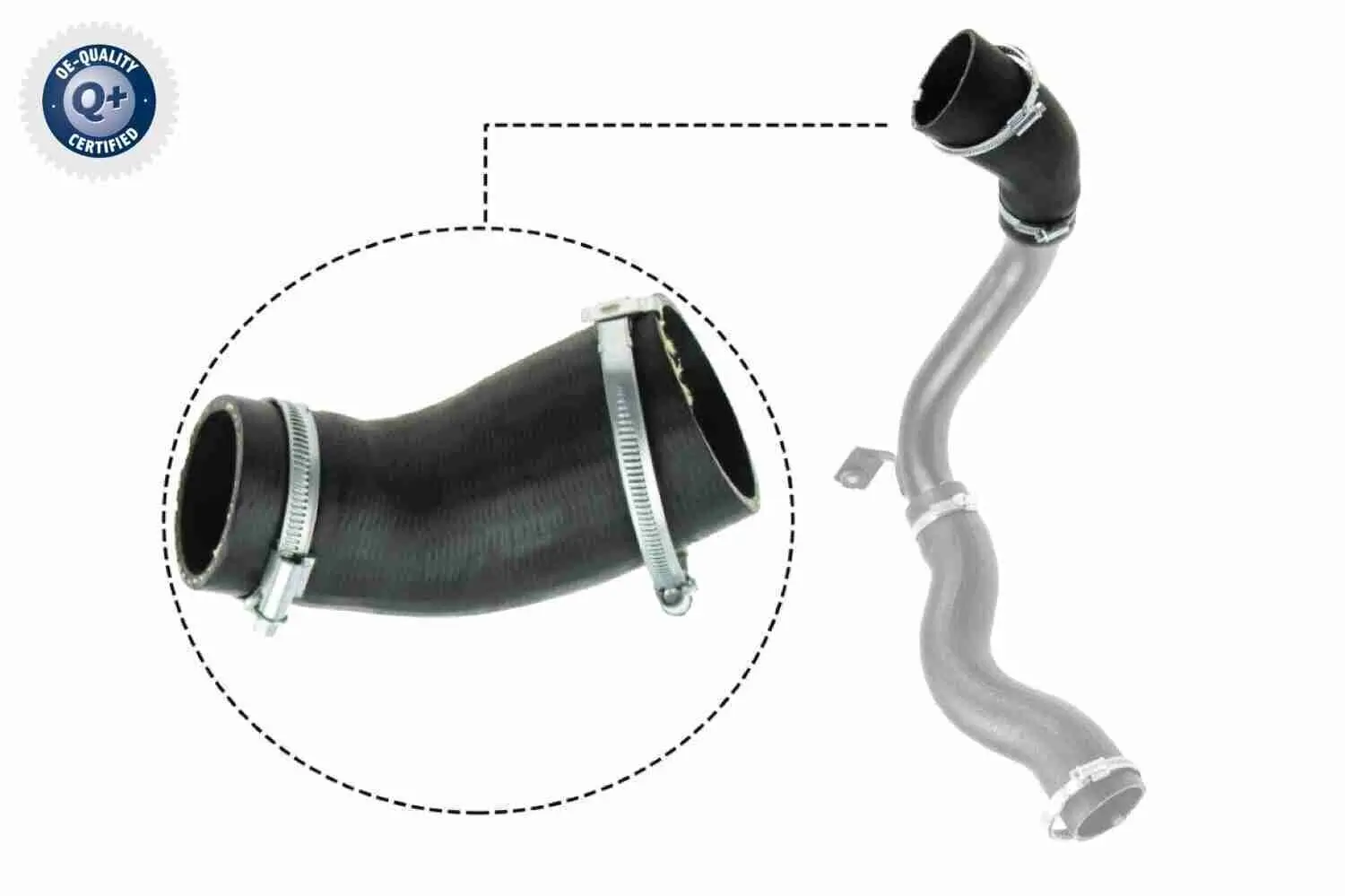 Ladeluftschlauch Ladeluftkühler rechts VAICO V25-1029