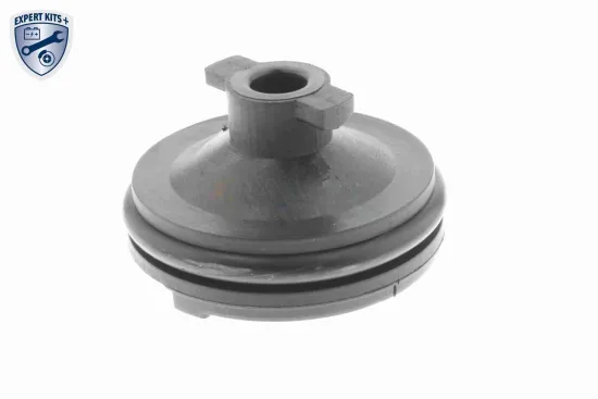 Verschlussschraube, Ölwanne motorseitig VAICO V25-1116 Bild Verschlussschraube, Ölwanne motorseitig VAICO V25-1116