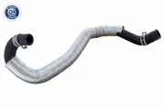 Kühlerschlauch VAICO V25-1238