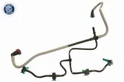 Schlauch, Leckkraftstoff VAICO V25-1480