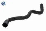 Kühlerschlauch unten VAICO V25-1502