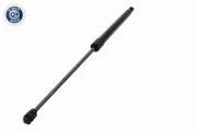 Gasfeder, Koffer-/Laderaum VAICO V25-2840