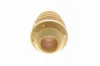 Anschlagpuffer, Federung Vorderachse VAICO V25-9704 Bild Anschlagpuffer, Federung Vorderachse VAICO V25-9704