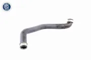 Kühlerschlauch links oben VAICO V30-1921