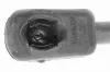 Gasfeder, Koffer-/Laderaum VAICO V30-2066 Bild Gasfeder, Koffer-/Laderaum VAICO V30-2066