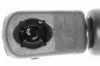 Gasfeder, Koffer-/Laderaum VAICO V30-2066 Bild Gasfeder, Koffer-/Laderaum VAICO V30-2066