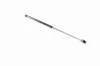 Gasfeder, Koffer-/Laderaum VAICO V30-2067 Bild Gasfeder, Koffer-/Laderaum VAICO V30-2067