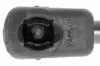 Gasfeder, Motorhaube beidseitig VAICO V30-2095 Bild Gasfeder, Motorhaube beidseitig VAICO V30-2095
