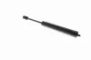 Gasfeder, Motorhaube beidseitig VAICO V30-2095 Bild Gasfeder, Motorhaube beidseitig VAICO V30-2095