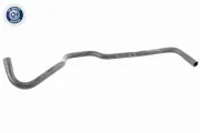 Kühlerschlauch unten VAICO V30-2415