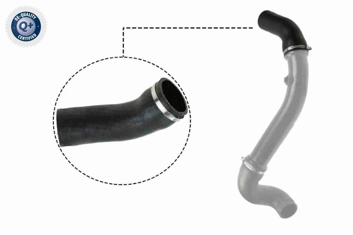 Ladeluftschlauch VAICO V30-2717